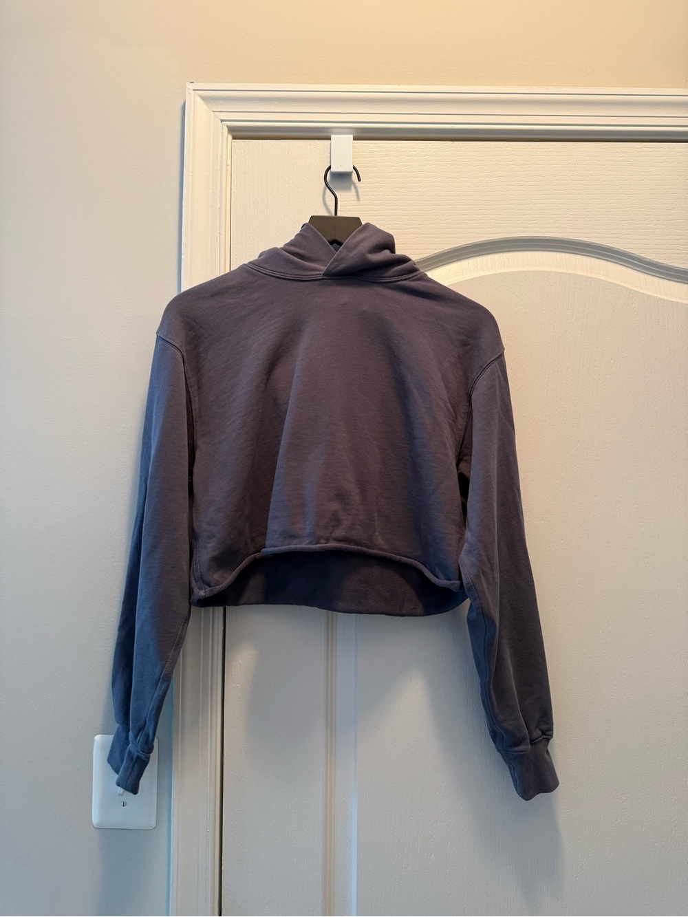 Aritzia Cropped Hooded Sweater